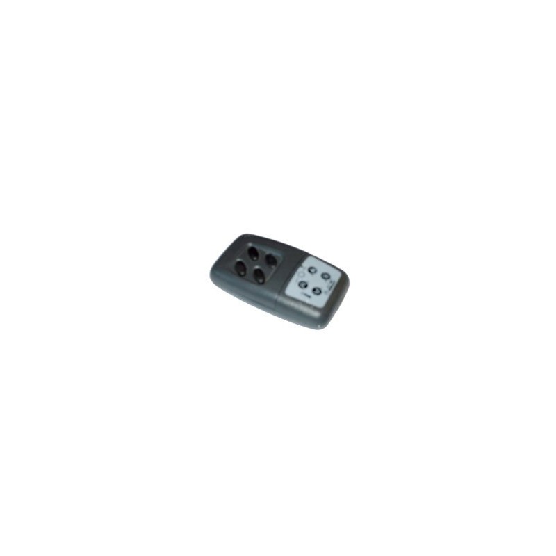 Télécommande (4 Touches) POLAR MULTIAIR (BOX PELLET) 4160293