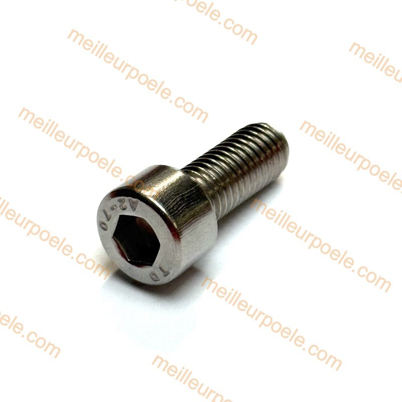 VIS 8x20 mm Extraflame 6000533 VIS 8x20 mm Extraflame 6000533