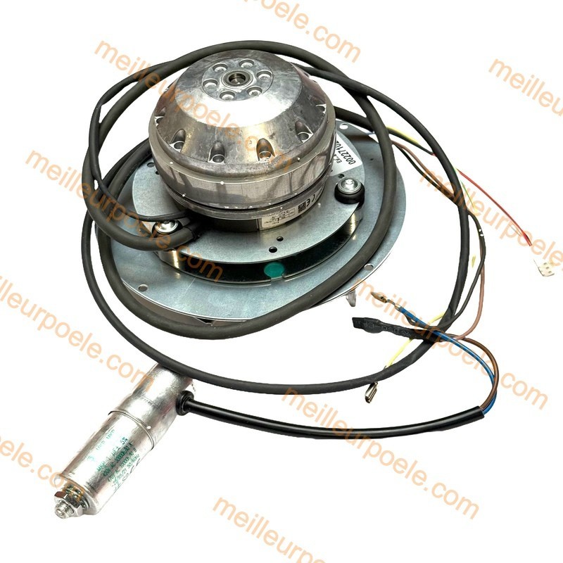 MOTEUR FUMEE Extraflame 2271022