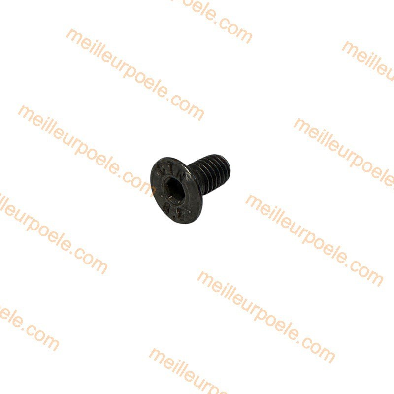 Vis à six pans creux Rika domo N100242