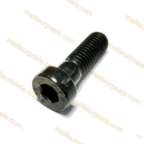 Vis à six pans creux M08X25  pour culasse de RIKA CORSO N111960