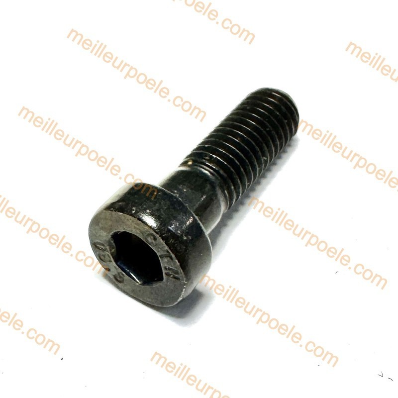 Vis à six pans creux M08X25  pour culasse de RIKA CORSO N111960