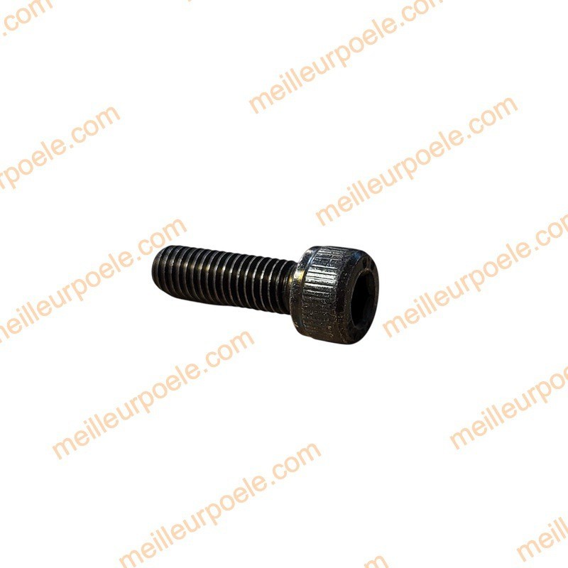 Vis à six pans creux M08X25 DOMO BACK - PURE N112146