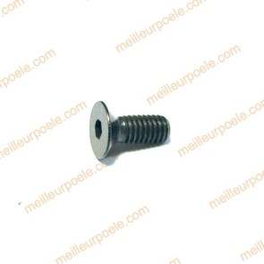 Vis à six pans creux m04X10 rika N109985