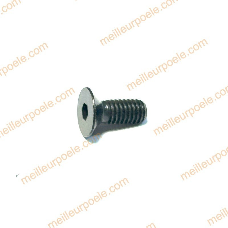 Vis à six pans creux m04X10 rika N109985